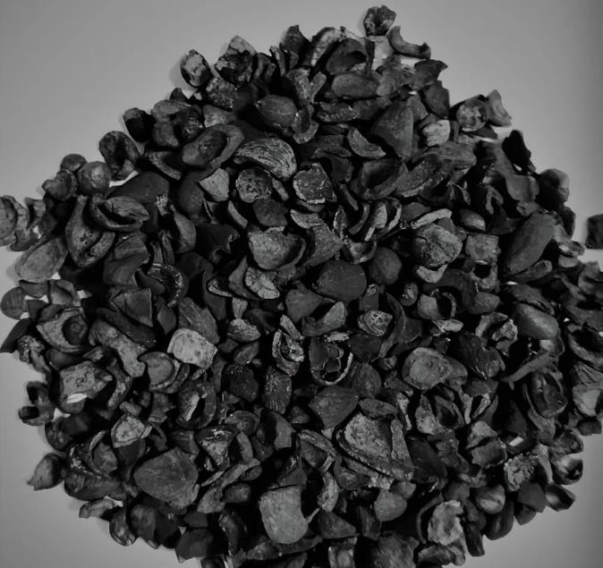 Fruit shell activated carbon