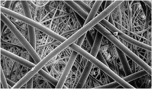 glass fiber filter material in microscope