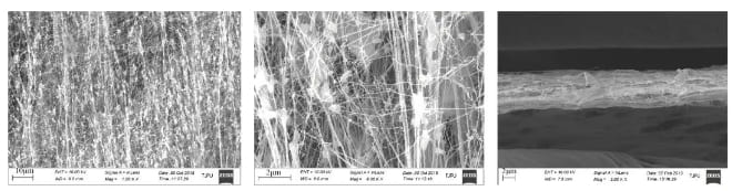 PTFE fiber under electron microscope