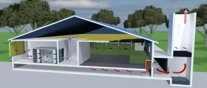 Pig house ventilation 