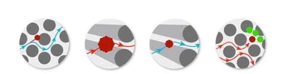 filtration mechanism